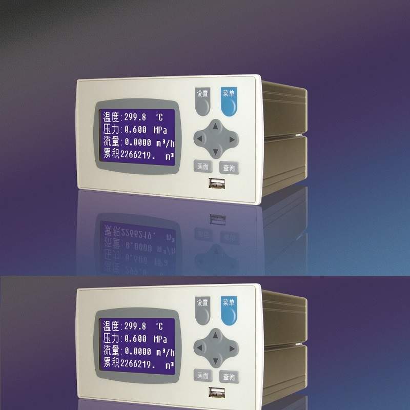 XSR20FC系列补偿流量积算记录仪  4M记录内存,智能液晶流量记录仪