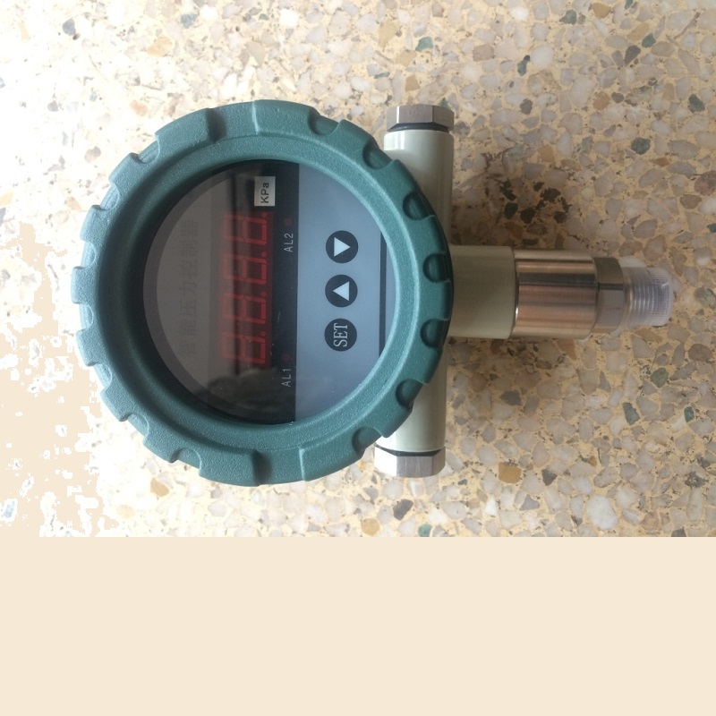 智能压力控制器,压力显示,2点报警输出,4-20mA输出,防爆控制器